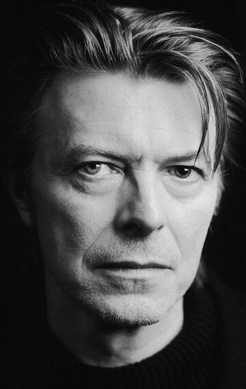 David Bowie Free Essays Examples & Find Books by David Bowie