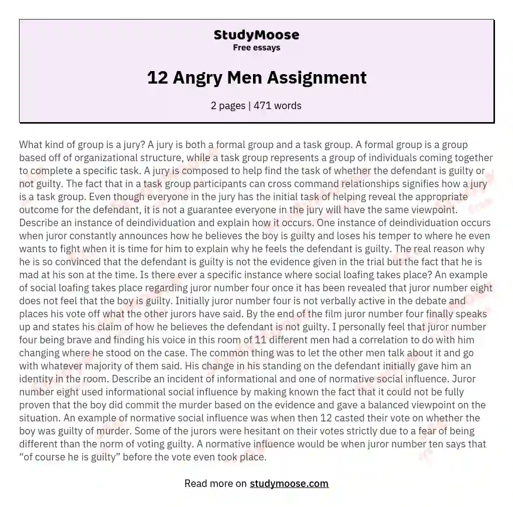 12 Angry Men Assignment