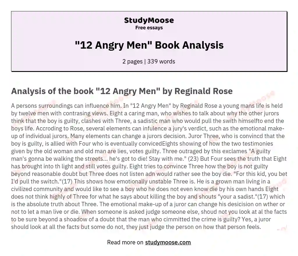 "12 Angry Men" Book Analysis essay