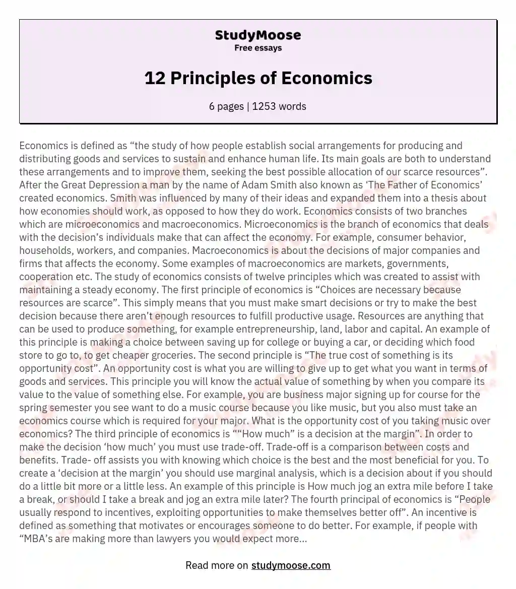 12 Principles of Economics essay