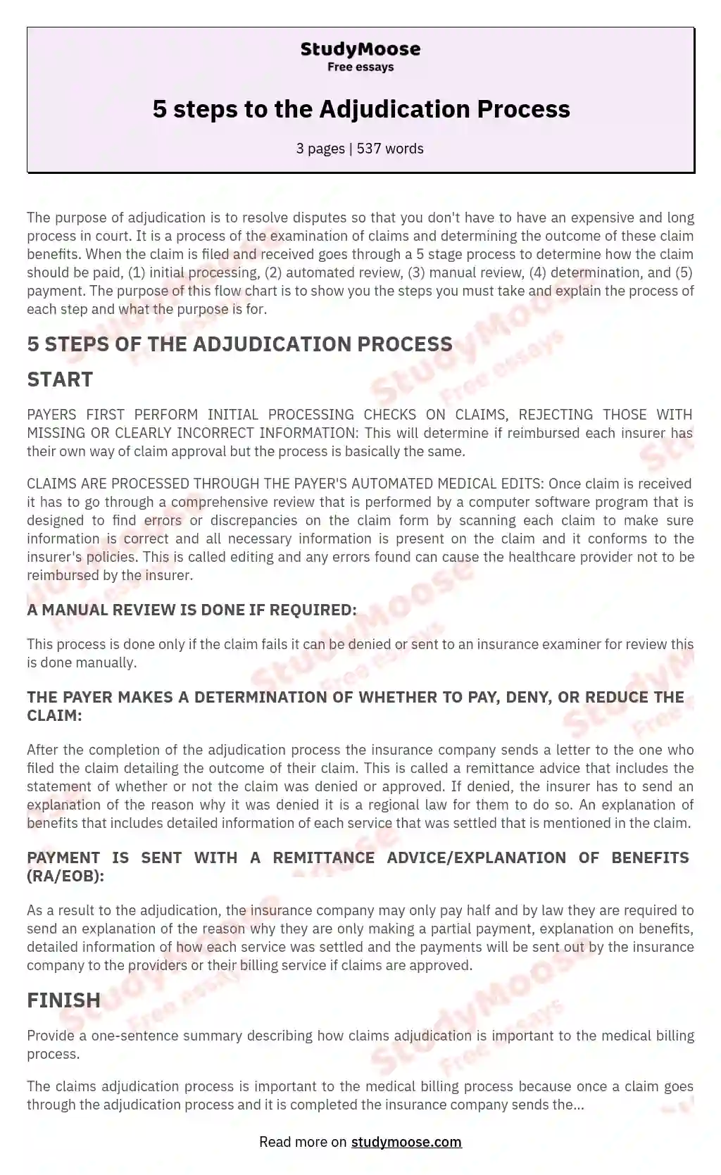 5 steps to the Adjudication Process essay