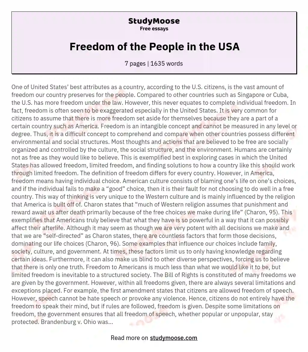 Freedom of the People in the USA essay