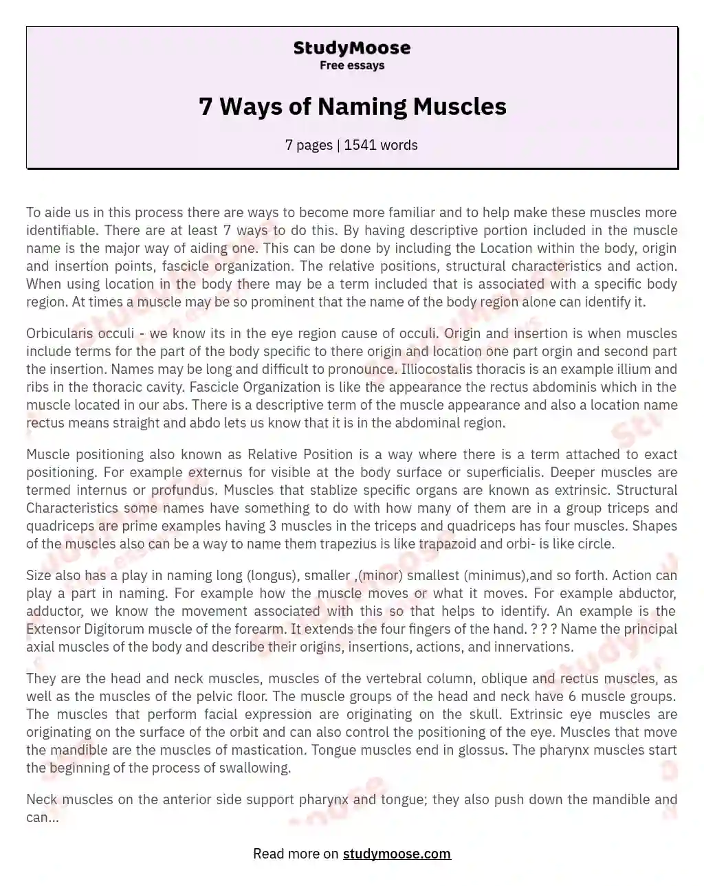 7 Ways of Naming Muscles essay