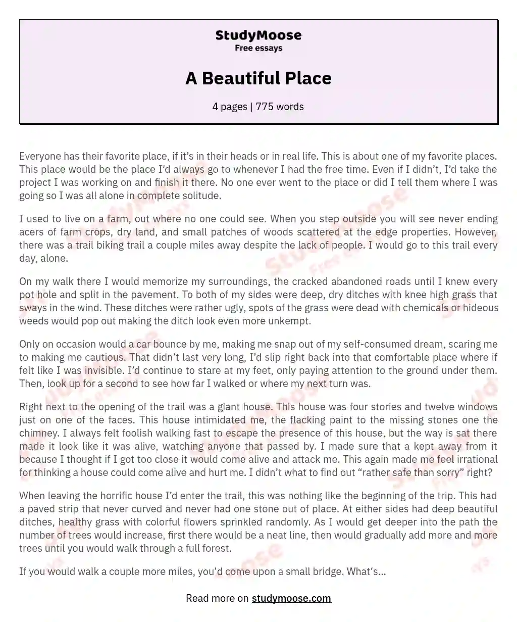 A Beautiful Place essay