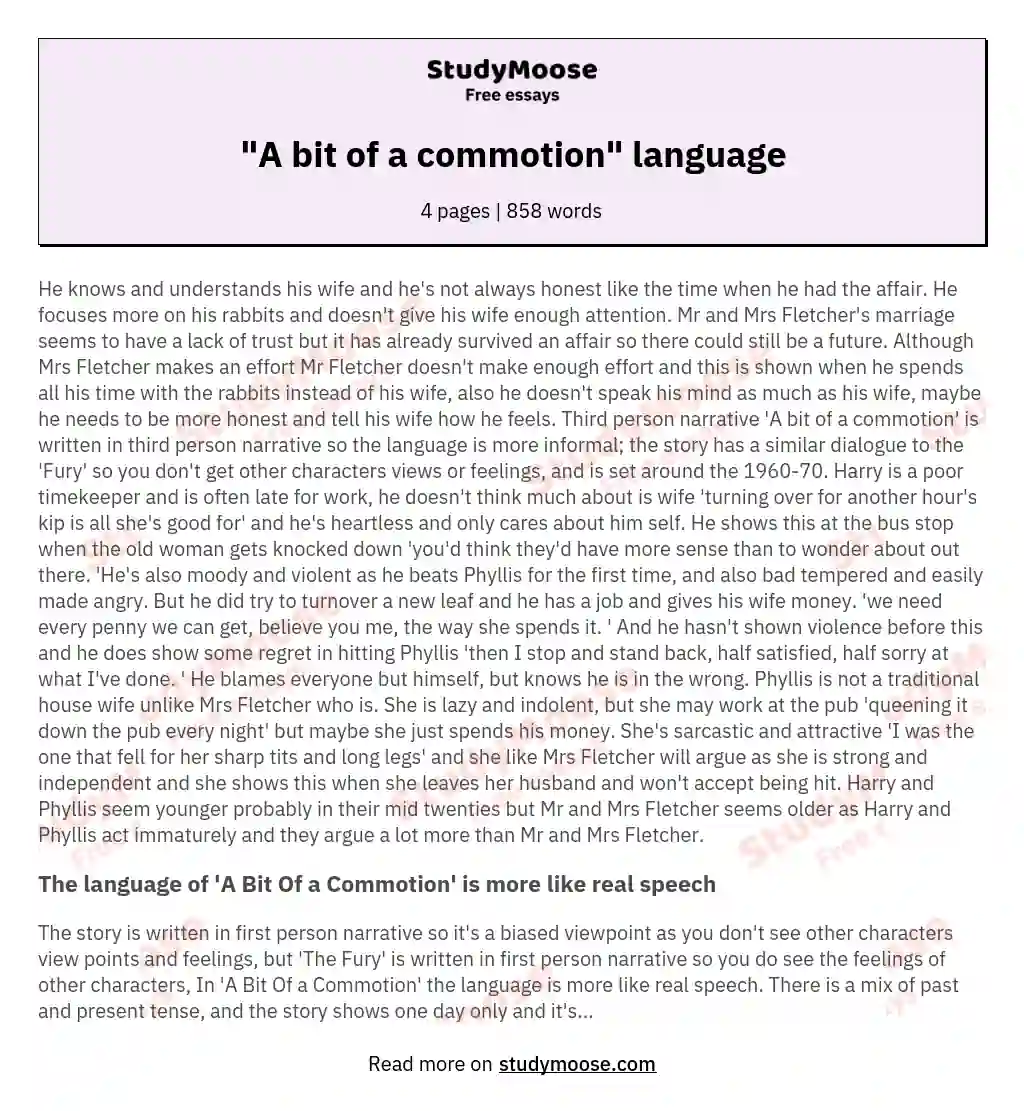 "A bit of a commotion" language essay