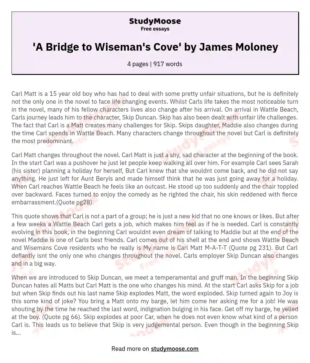 'A Bridge to Wiseman's Cove' by James Moloney essay