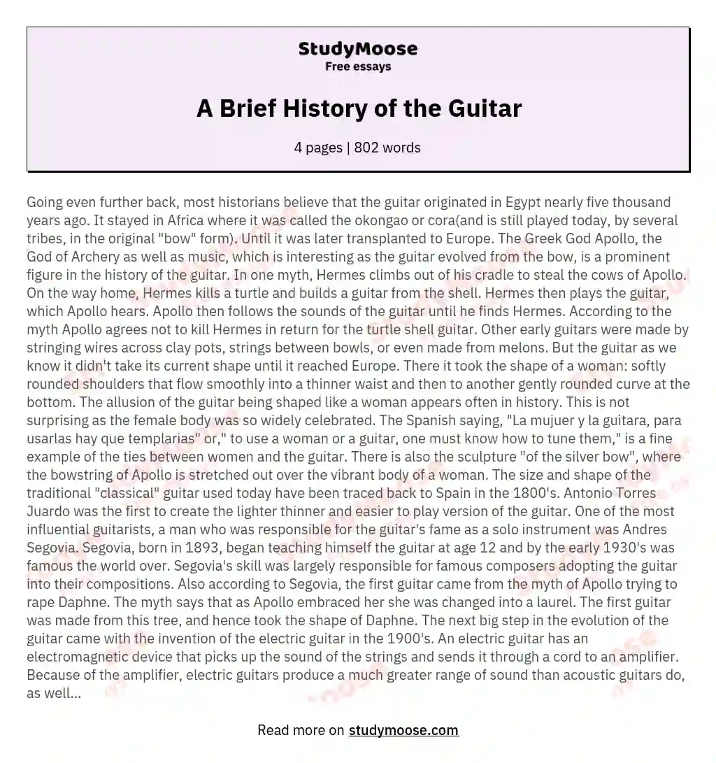 A Brief History of the Guitar essay