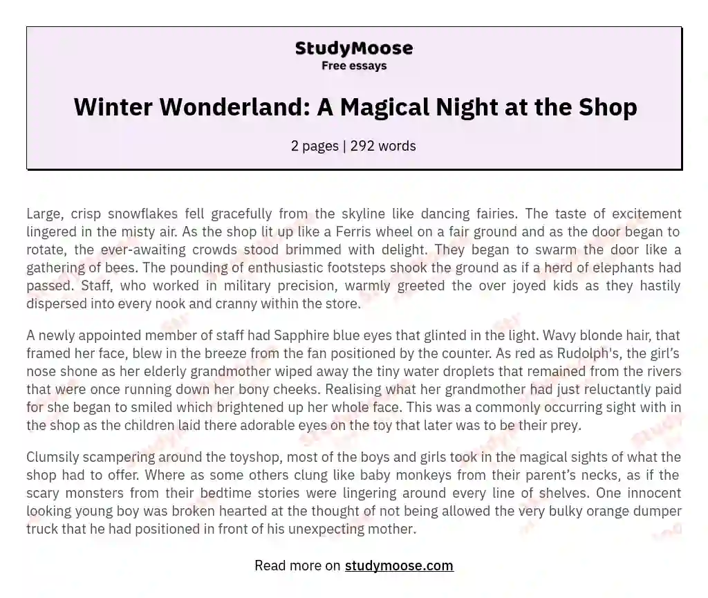 Winter Wonderland: A Magical Night at the Shop essay