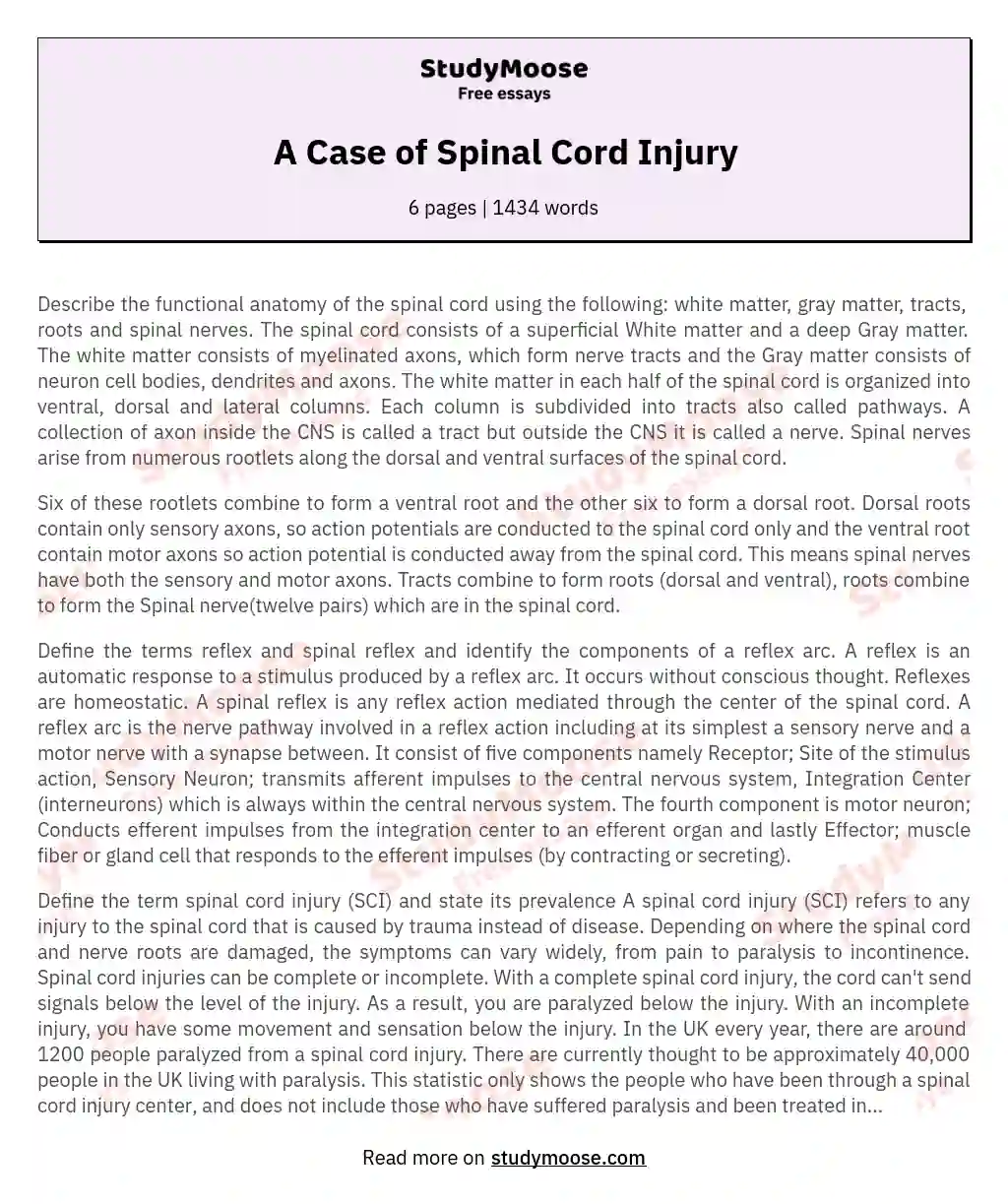 A Case of Spinal Cord Injury