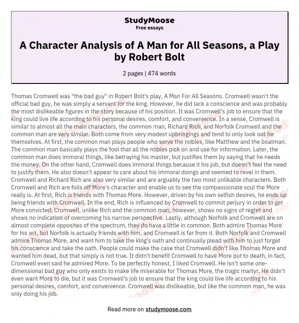A Character Analysis of A Man for All Seasons, a Play by Robert Bolt essay