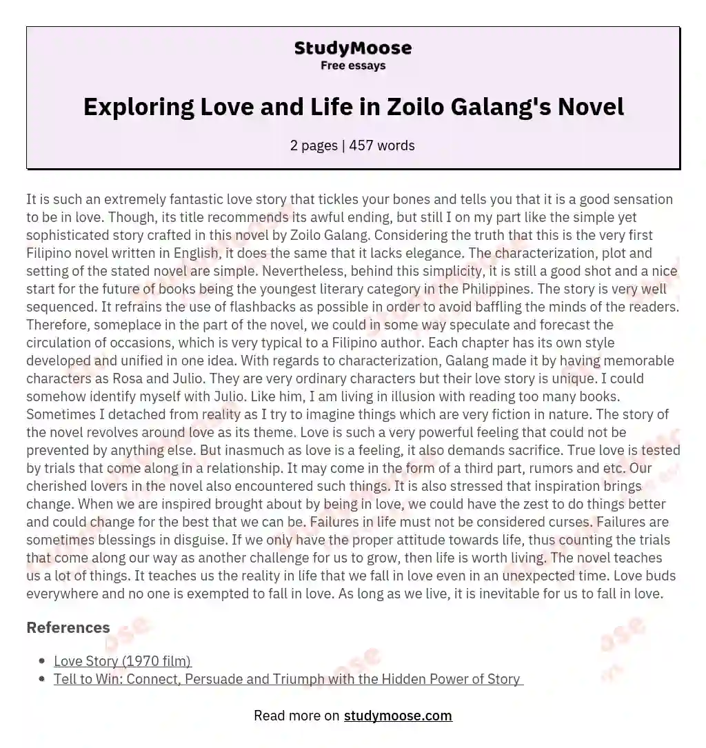 Exploring Love and Life in Zoilo Galang's Novel essay