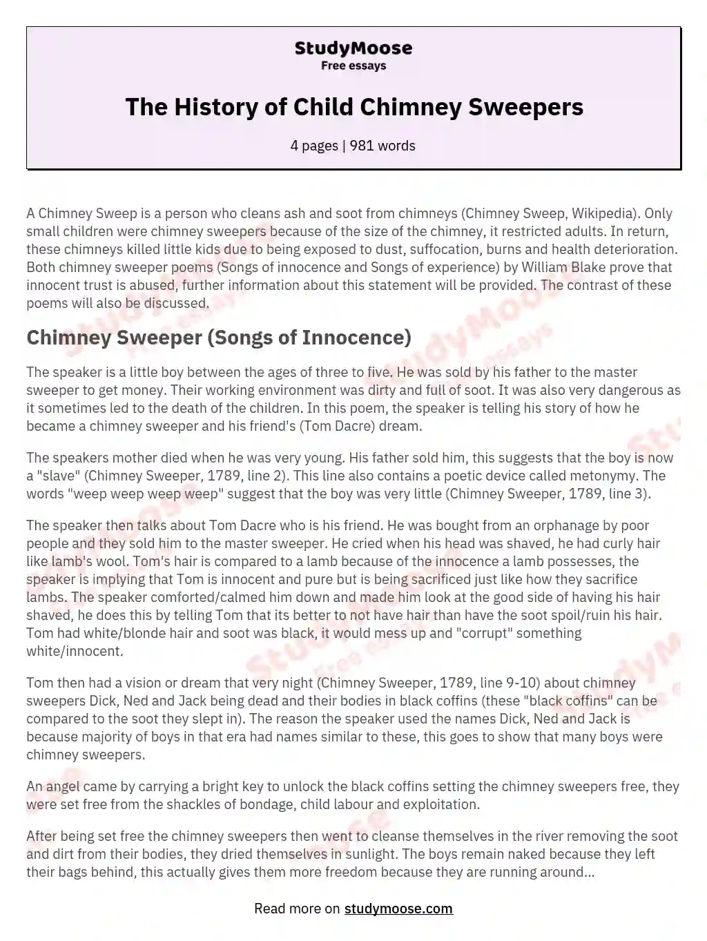 The History of Child Chimney Sweepers essay