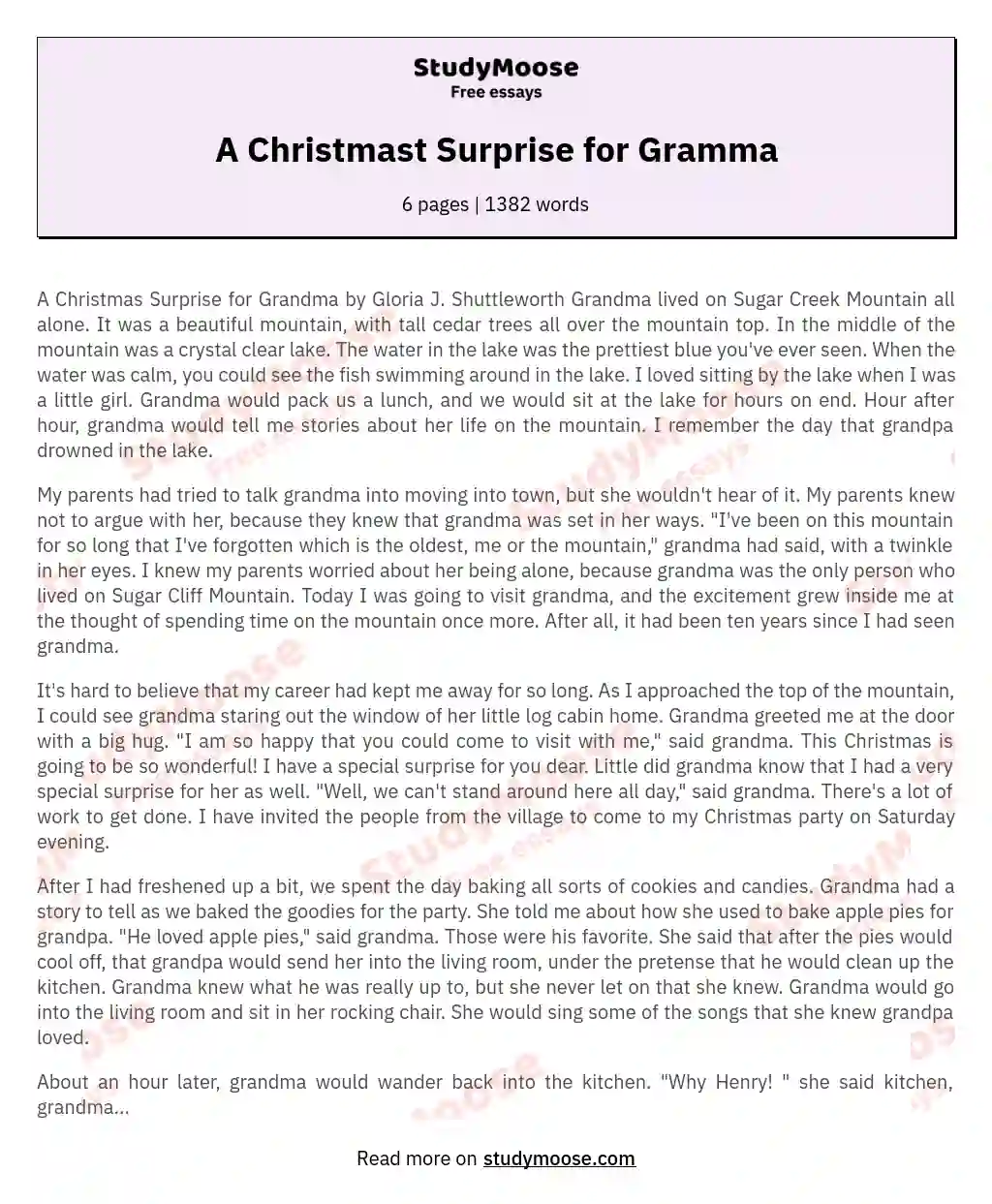 A Christmast Surprise for Gramma essay