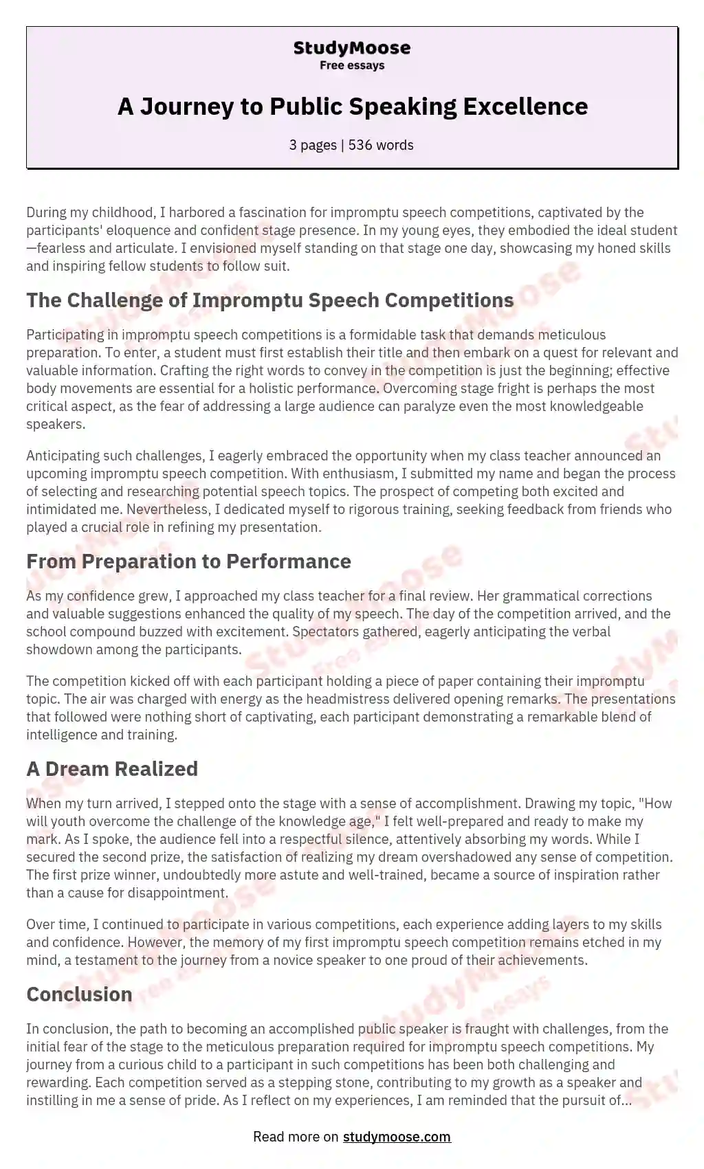 A Journey to Public Speaking Excellence essay