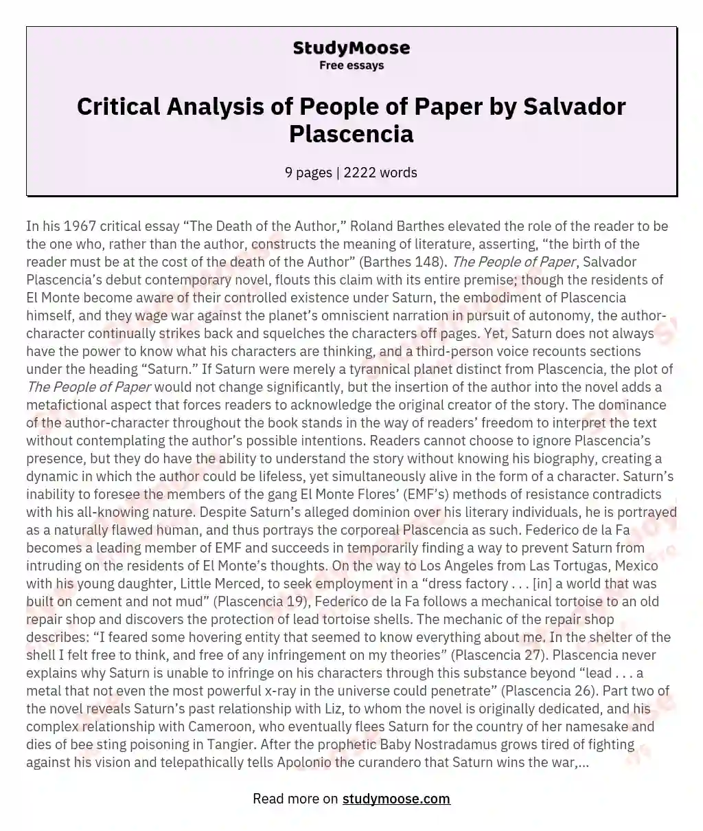 Critical Analysis of People of Paper by Salvador Plascencia essay