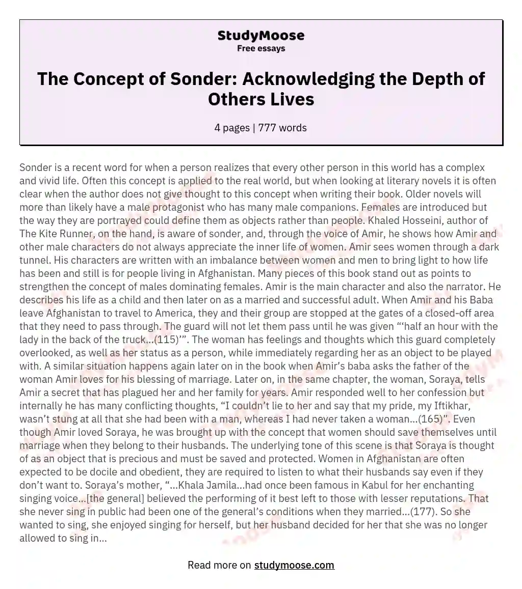 The Concept of Sonder: Acknowledging the Depth of Others Lives essay