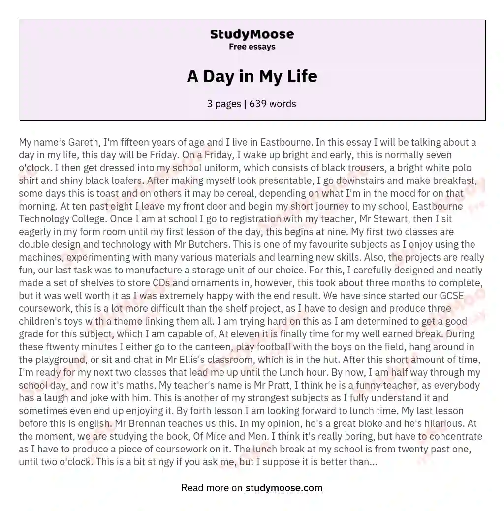 A Day in My Life Free Essay Example