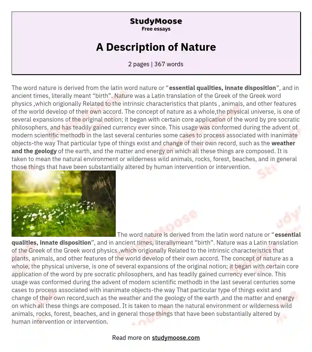 A Description of Nature essay