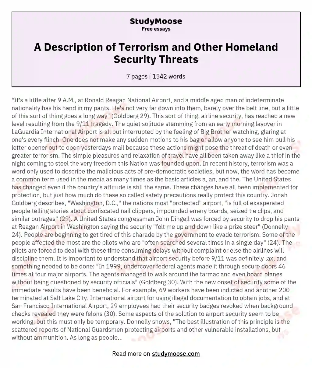 A Description of Terrorism and Other Homeland Security Threats essay