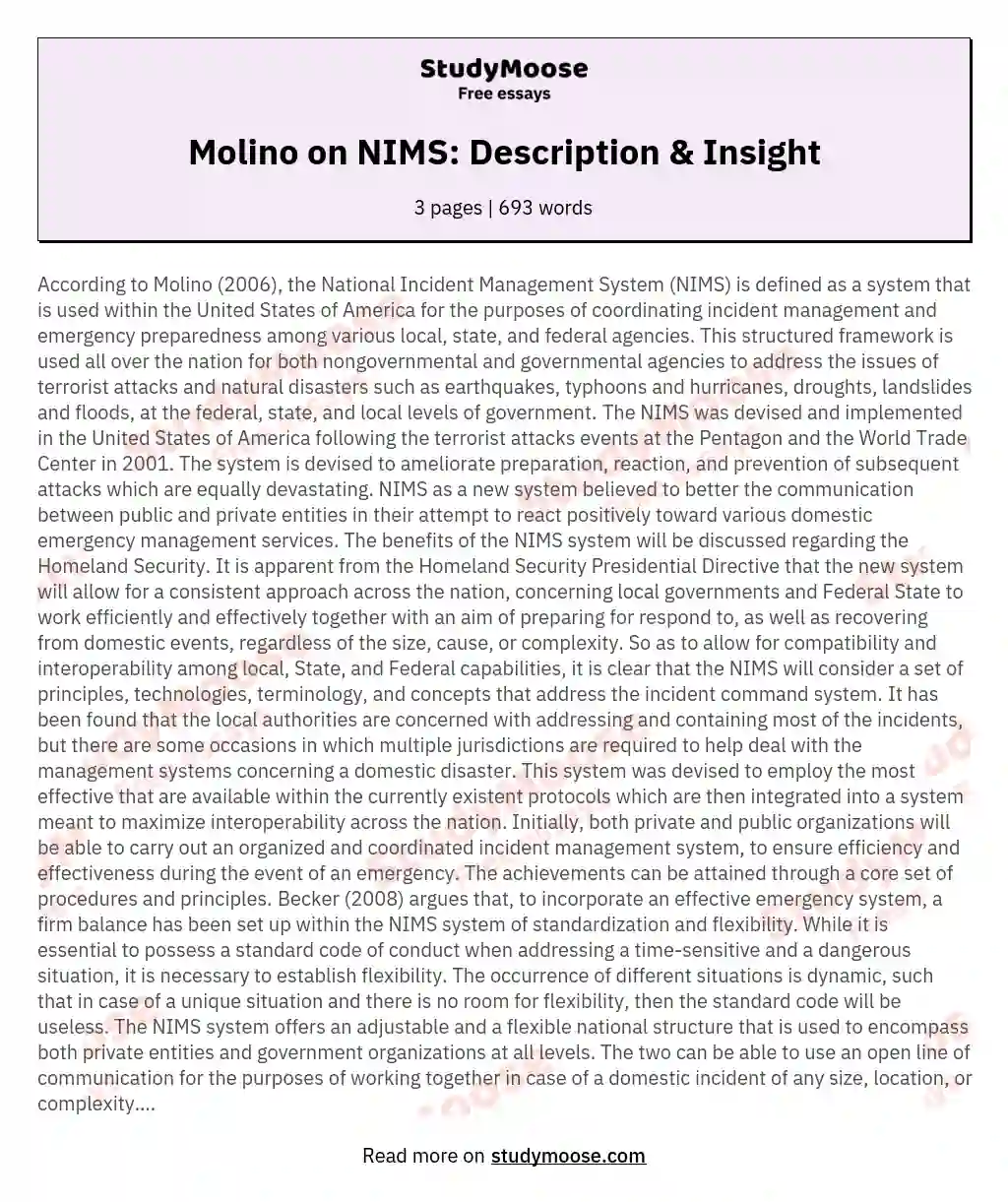 Molino on NIMS: Description & Insight essay