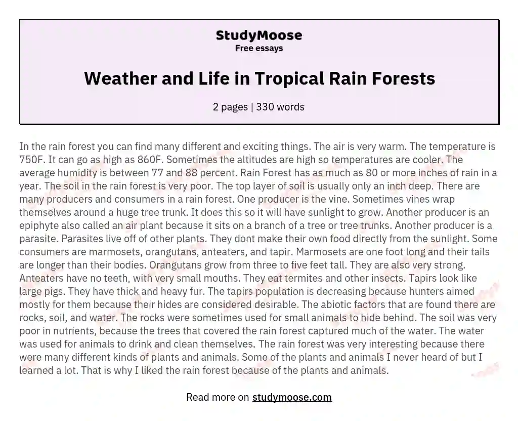 Weather and Life in Tropical Rain Forests essay