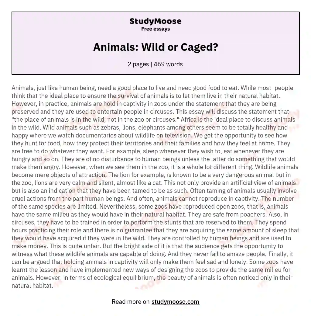 Animals: Wild or Caged? essay