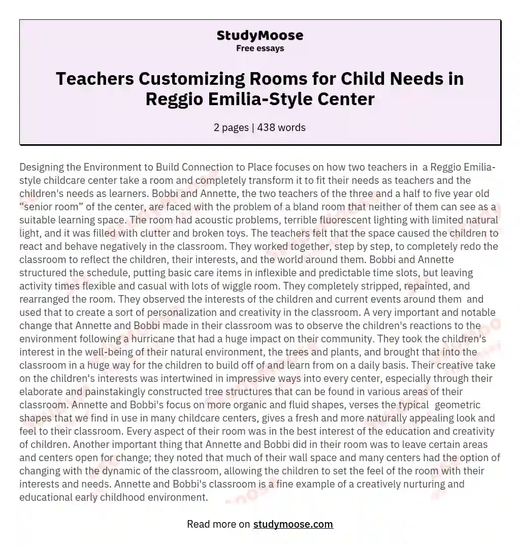 Teachers Customizing Rooms for Child Needs in Reggio Emilia-Style Center essay