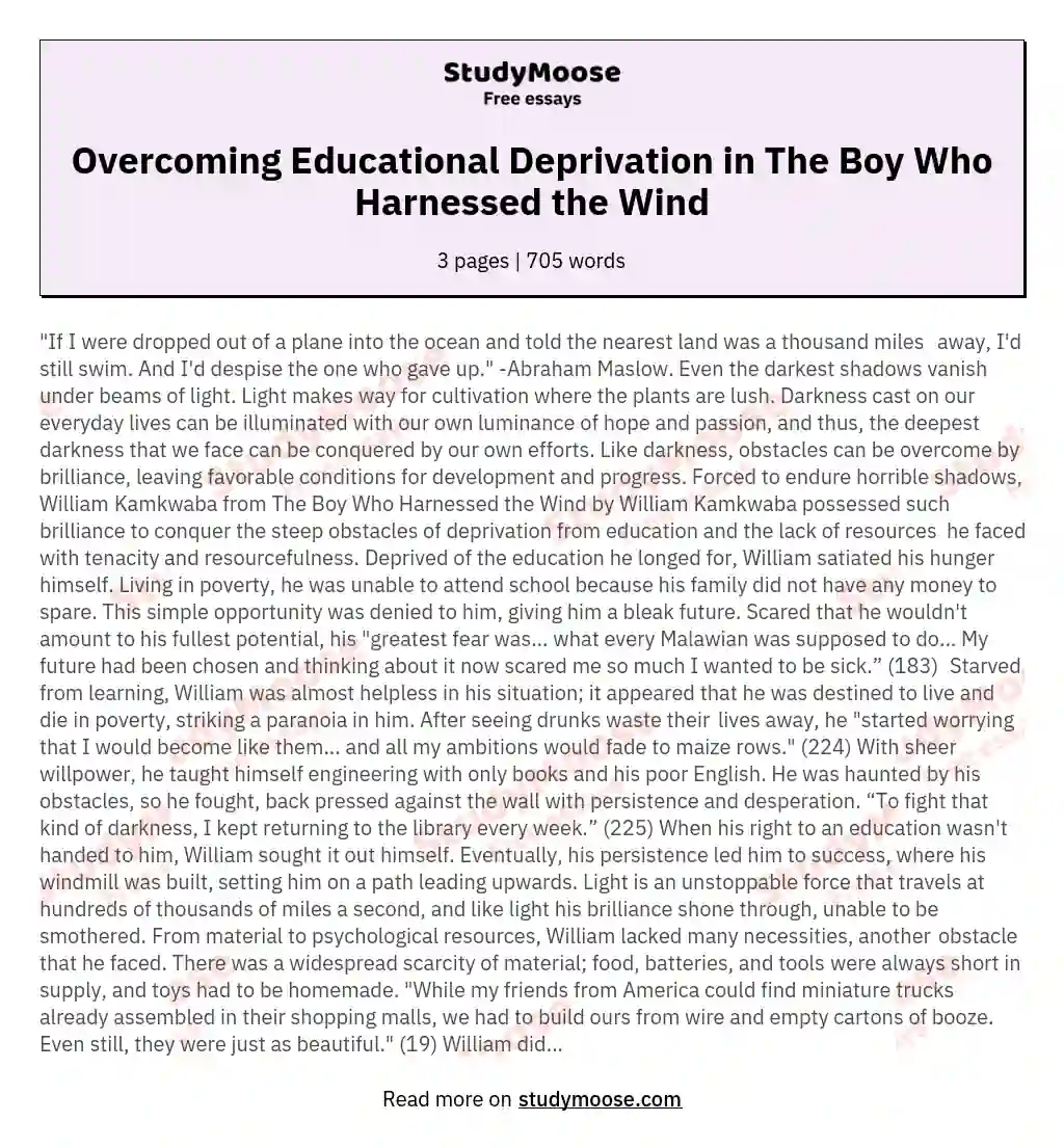Overcoming Educational Deprivation in The Boy Who Harnessed the Wind essay