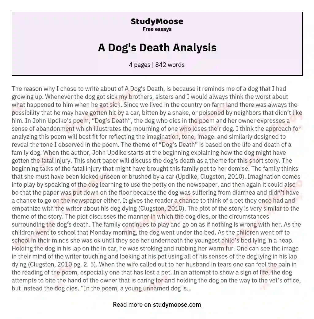 A Dog's Death Analysis essay