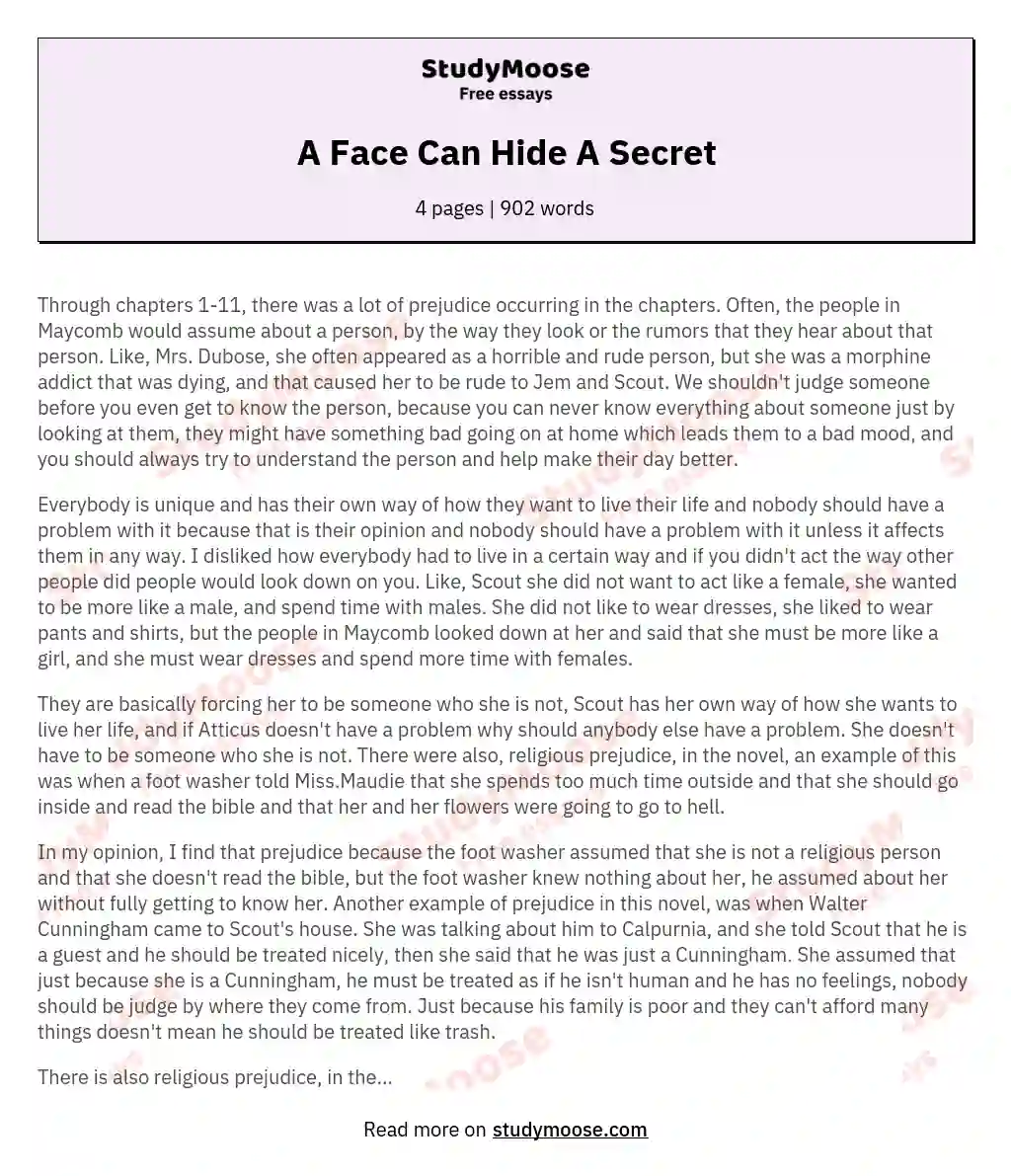 A Face Can Hide A Secret essay