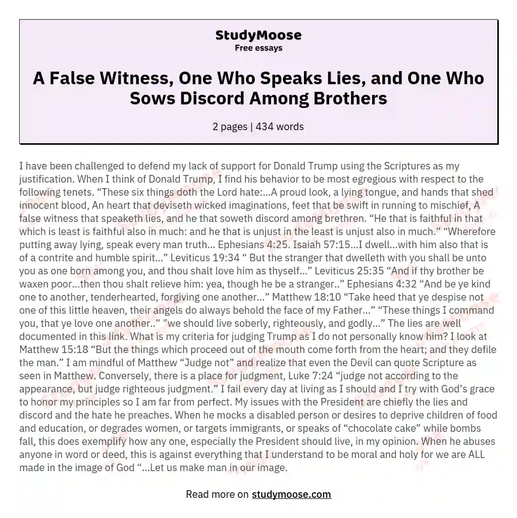 A False Witness, One Who Speaks Lies, and One Who Sows Discord Among Brothers essay