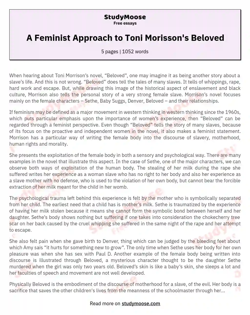 A Feminist Approach to Toni Morisson's Beloved essay