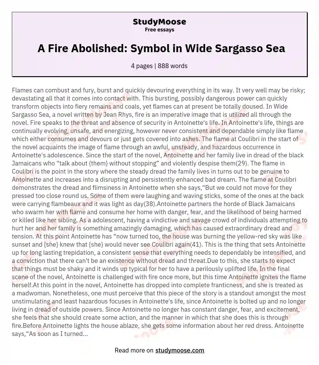  A Fire Abolished: Symbol in Wide Sargasso Sea essay