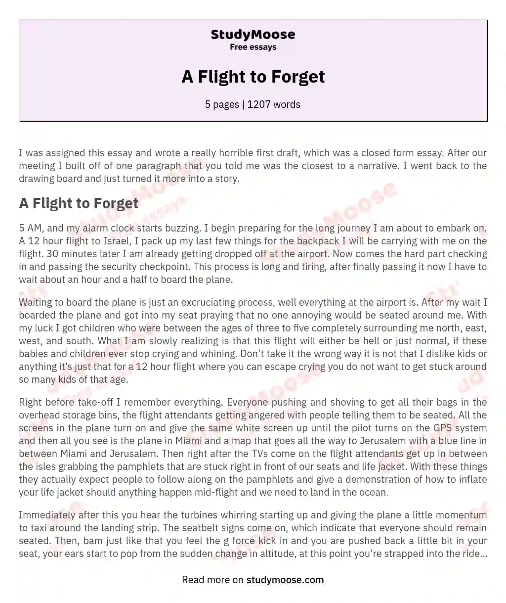 A Flight to Forget essay
