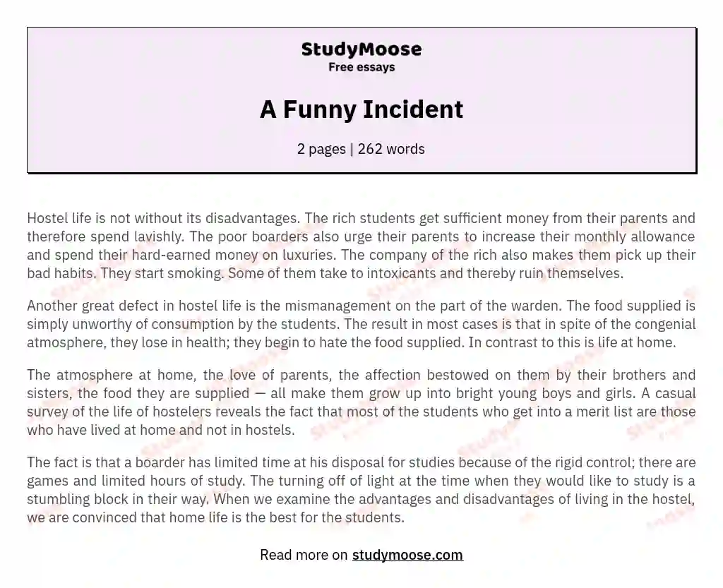 A Funny Incident essay