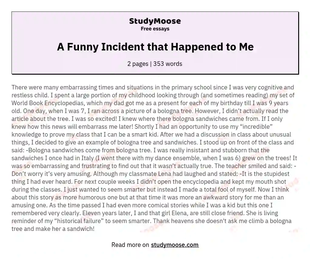 A Funny Incident that Happened to Me Free Essay Example