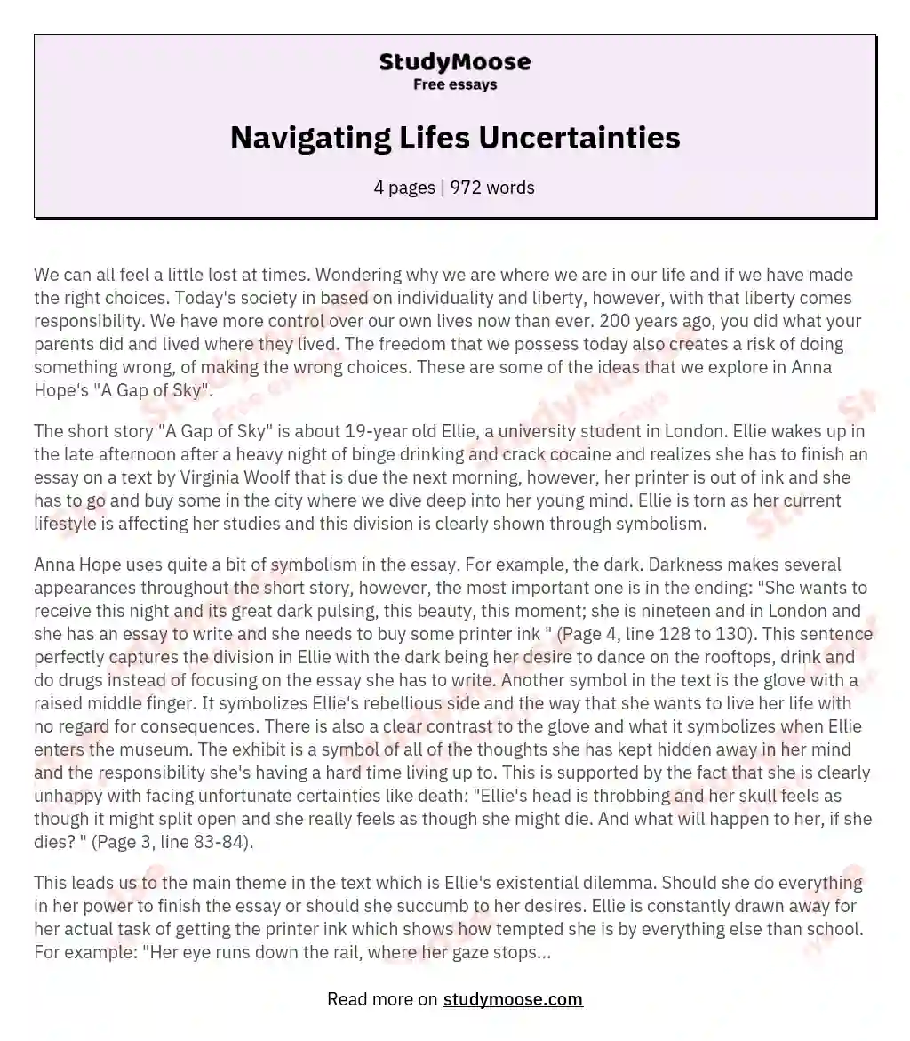 Navigating Lifes Uncertainties essay
