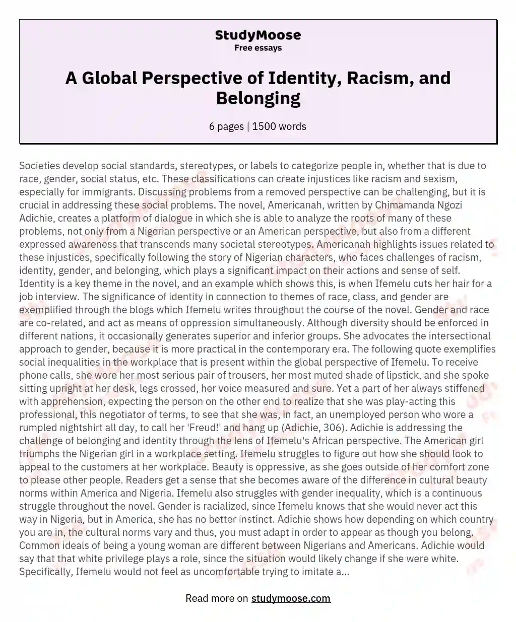 A Global Perspective of Identity, Racism, and Belonging essay