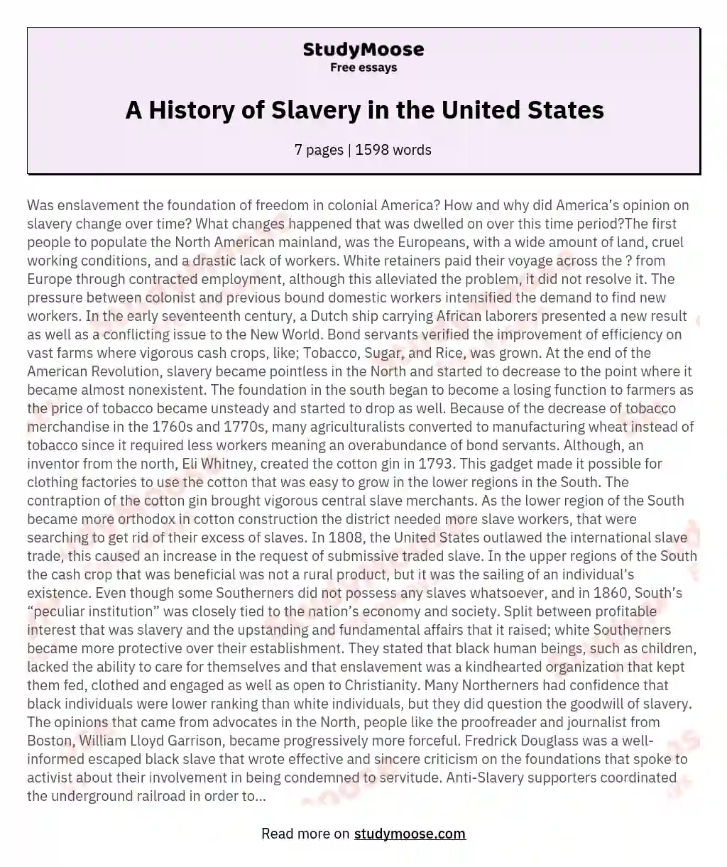 A History of Slavery in the United States essay