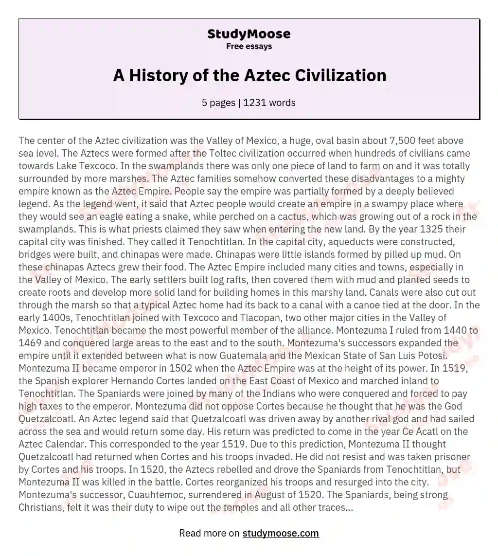 A History of the Aztec Civilization essay