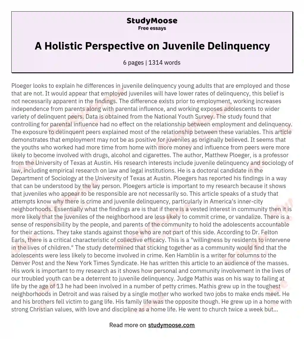 A Holistic Perspective on Juvenile Delinquency essay