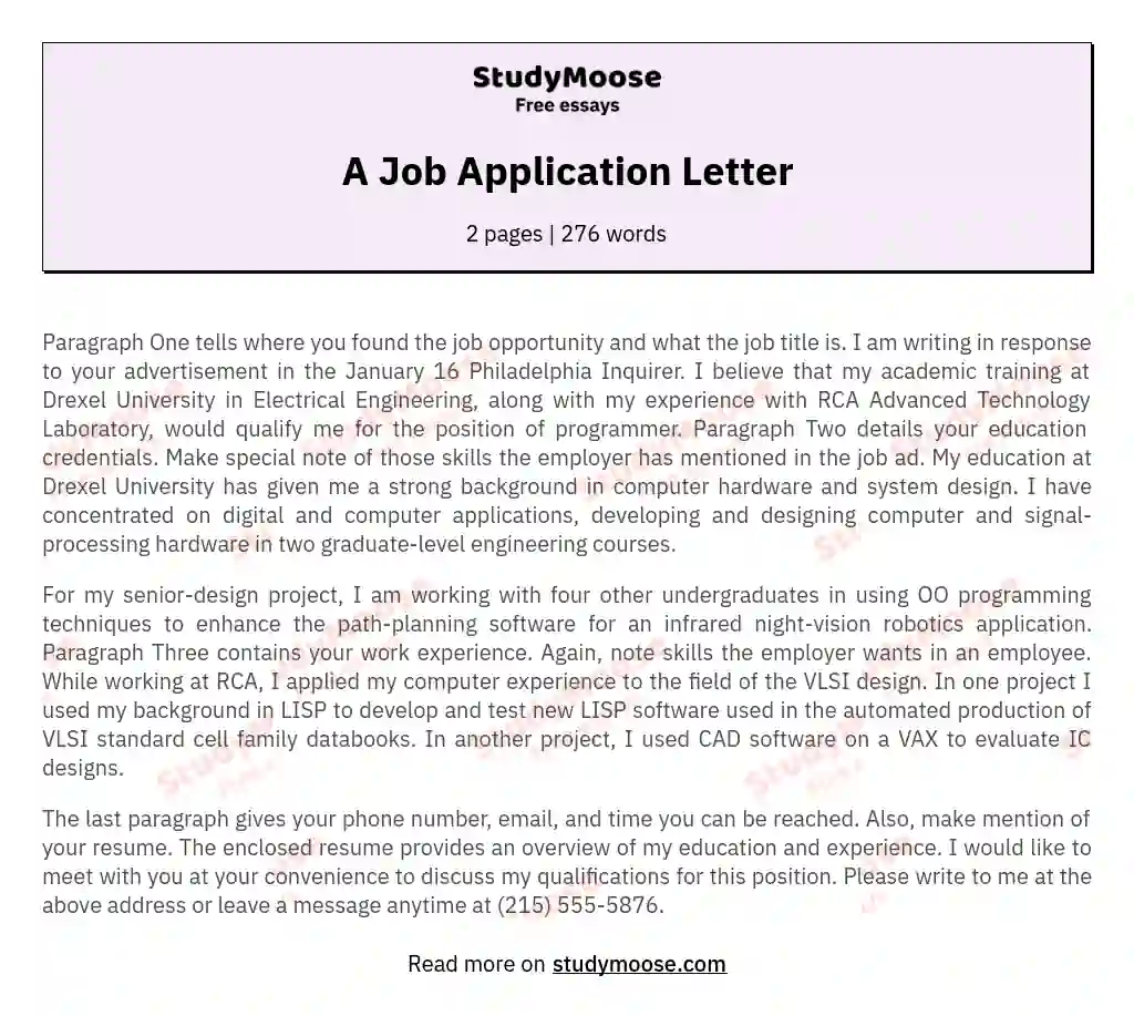 A Job Application Letter essay