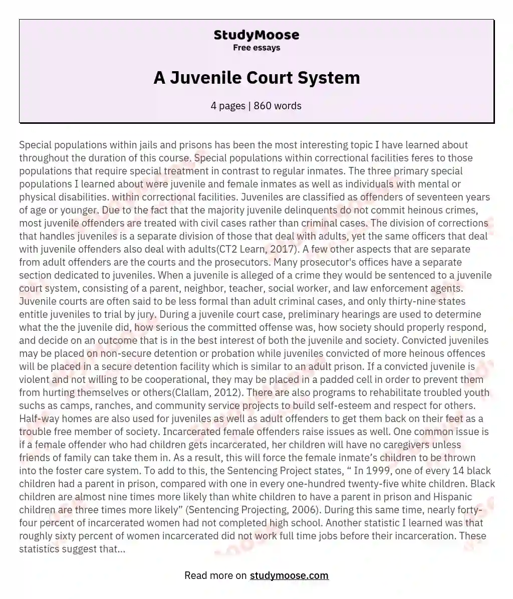 A Juvenile Court System essay