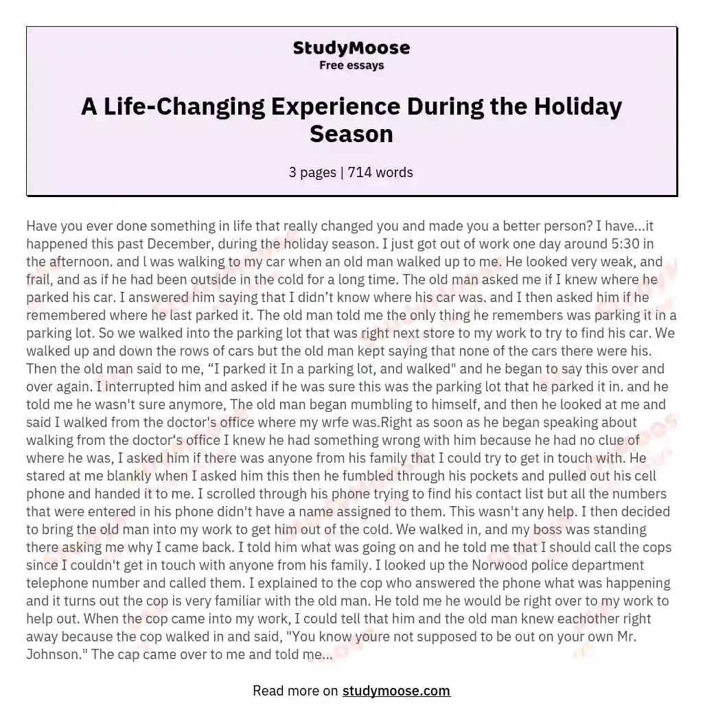 A Life-Changing Experience During the Holiday Season essay