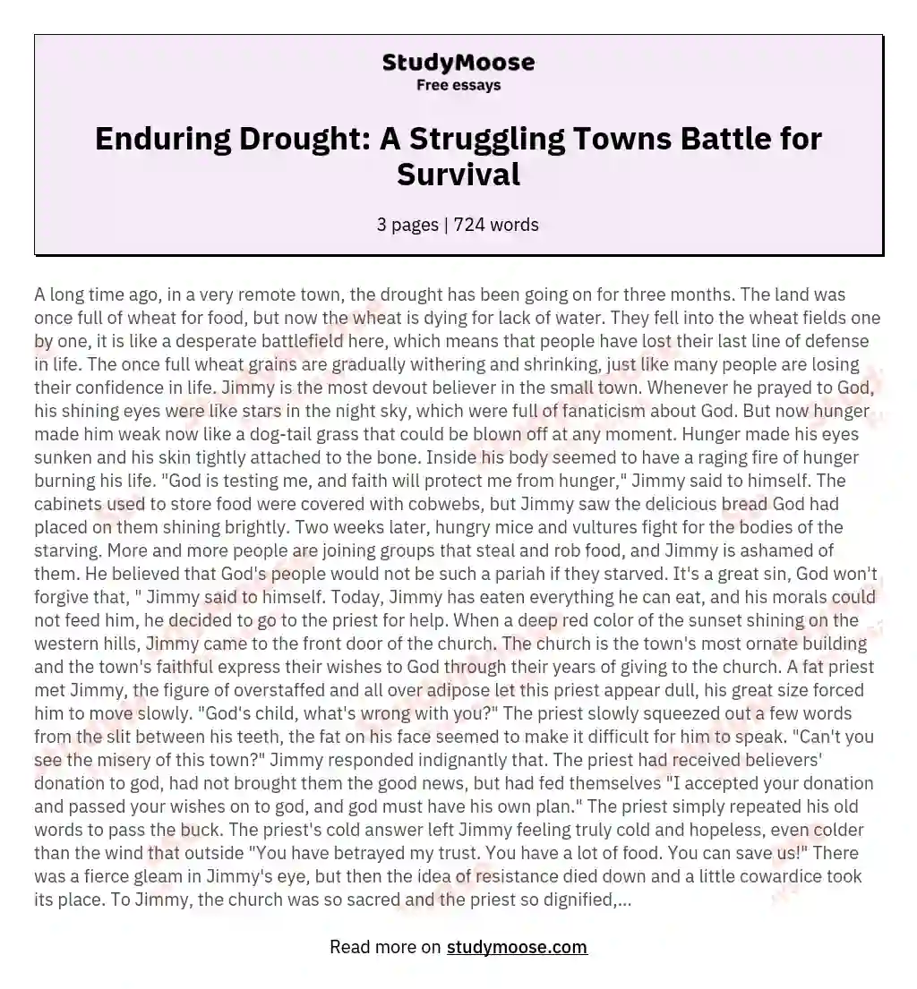 Enduring Drought: A Struggling Towns Battle for Survival essay