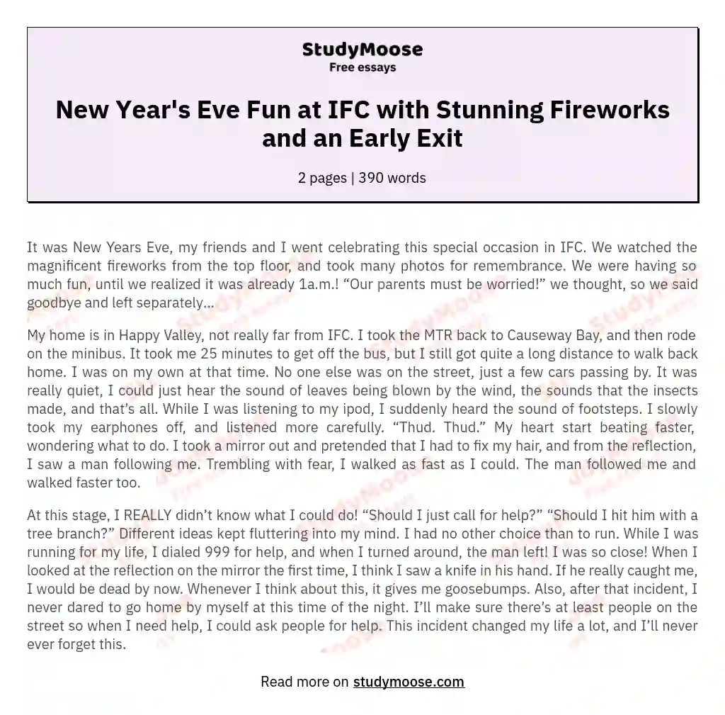 New Year's Eve Fun at IFC with Stunning Fireworks and an Early Exit essay