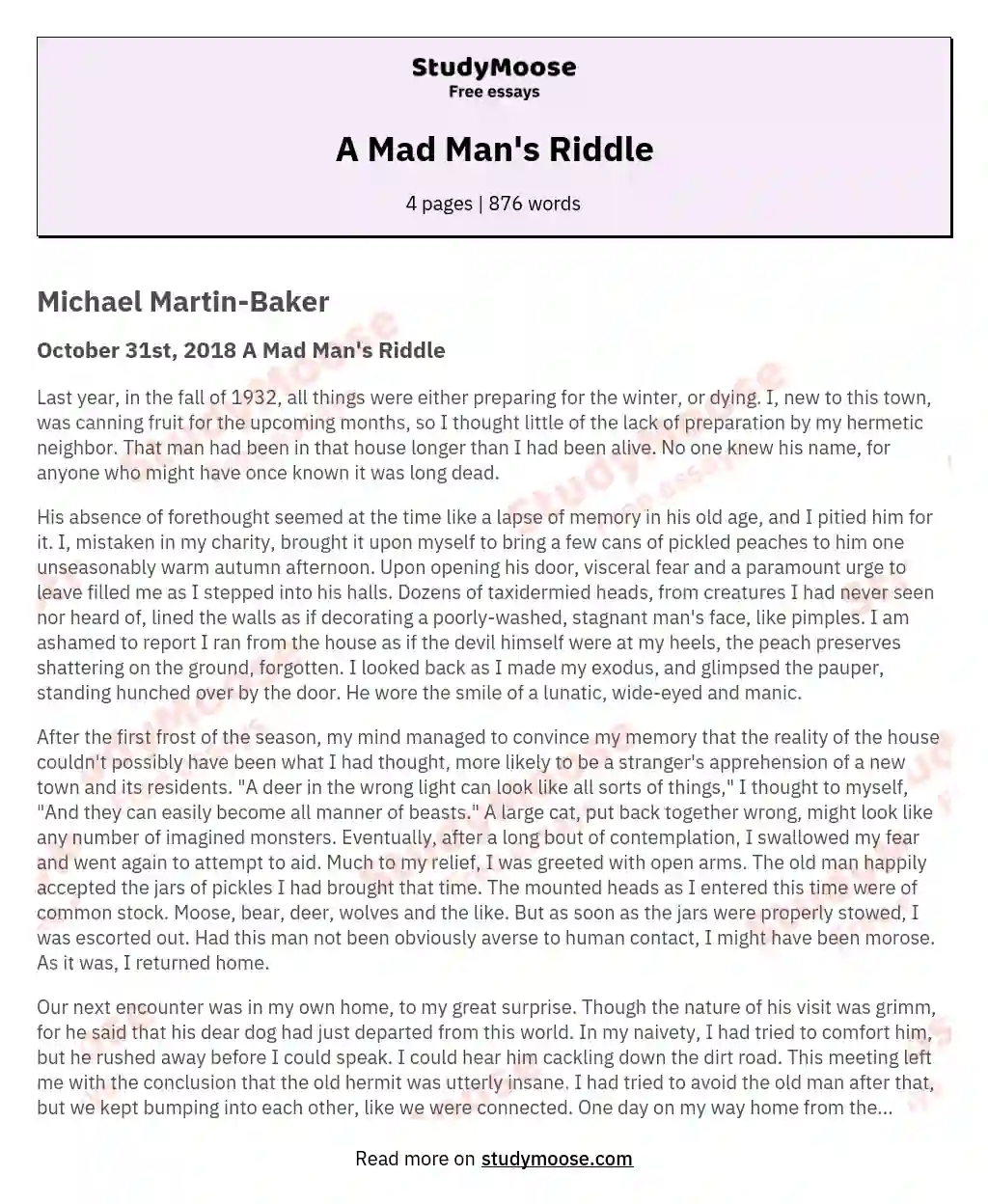 A Mad Man's Riddle essay
