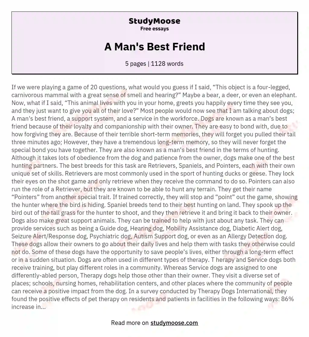 A Man's Best Friend essay