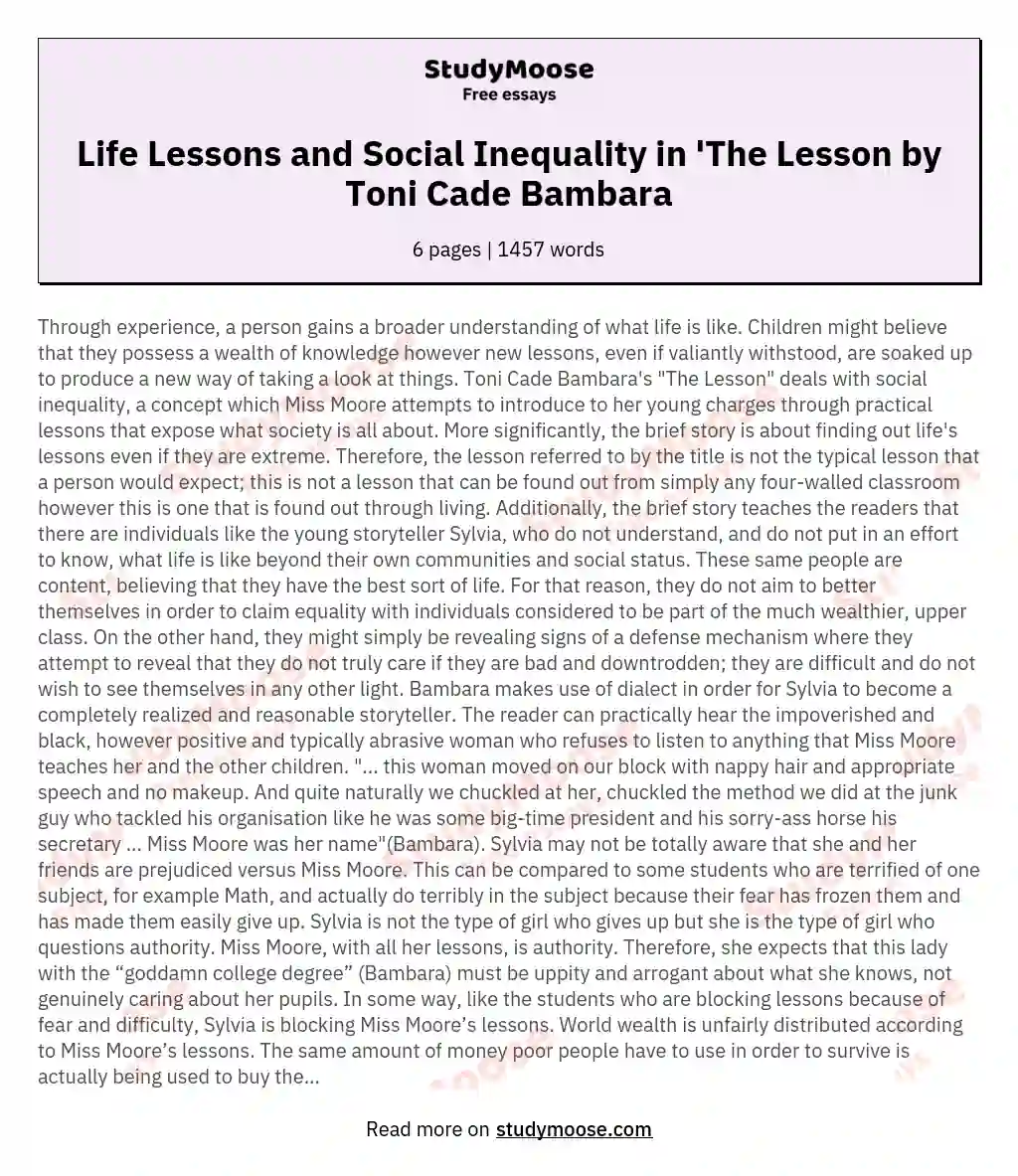 Life Lessons and Social Inequality in 'The Lesson by Toni Cade Bambara essay
