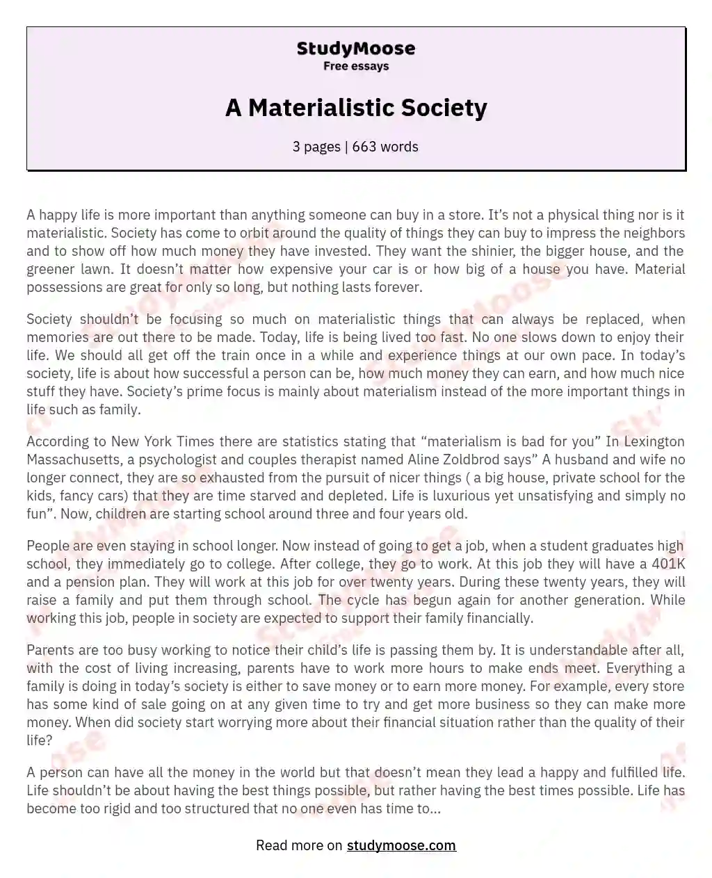 A Materialistic Society essay